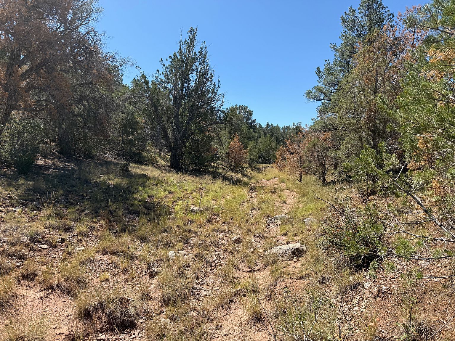 99 Shadow Rock Rnch Seligman, AZ 86337 - Thumbnail 4