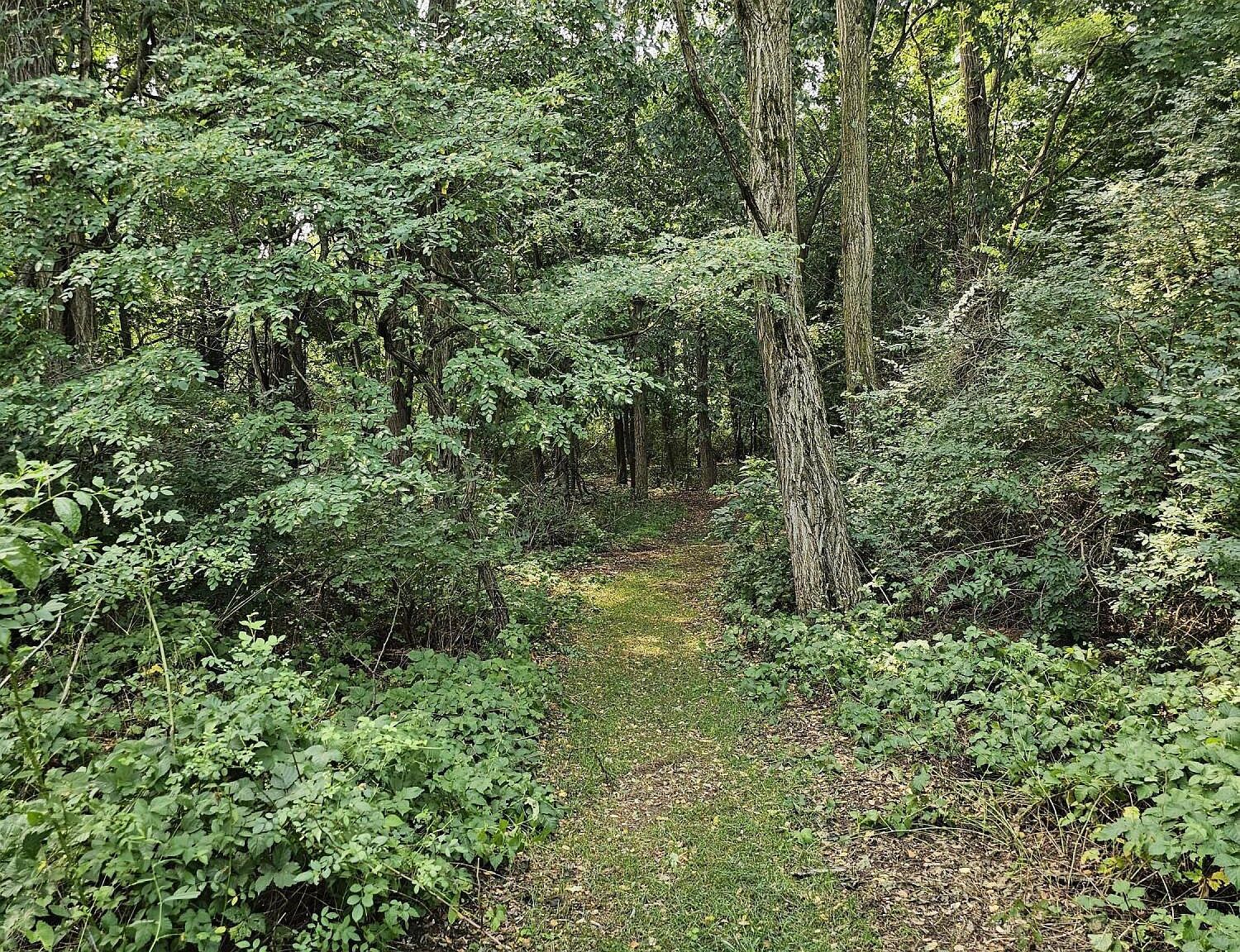 0 Short St Stevensville, MI 49127 - Thumbnail 4