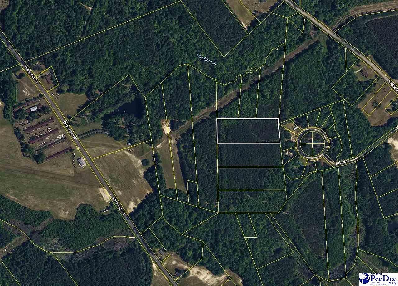 4.87 Acres Tract #B2 Pamplico, SC 29583 - Thumbnail 4