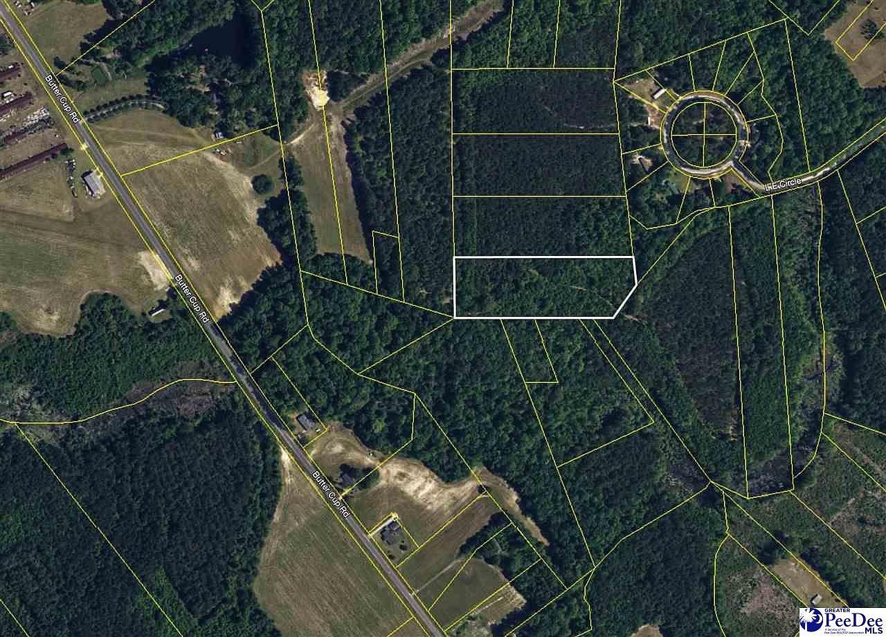 4.87 Acres Tract #E2 Pamplico, SC 29583 - Thumbnail 4