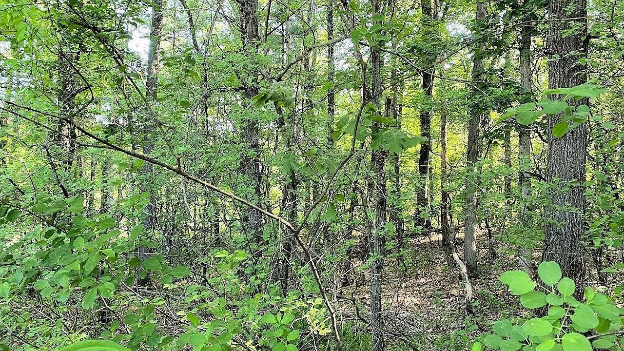 L11 Orrin Anderson Pass #11 Wisconsin Dells, WI 53965 - Thumbnail 4