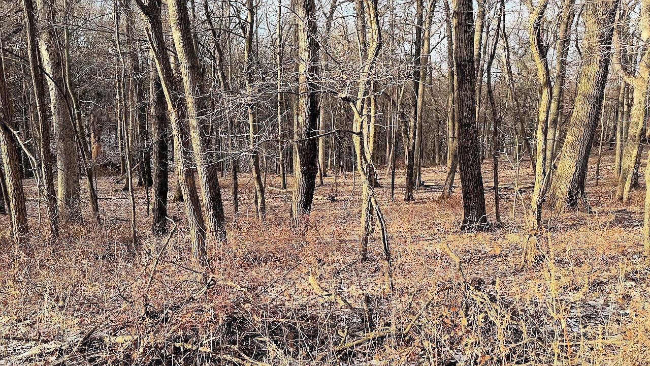 56 Redhawk Trl #56 Baraboo, WI 53913 - Thumbnail 4