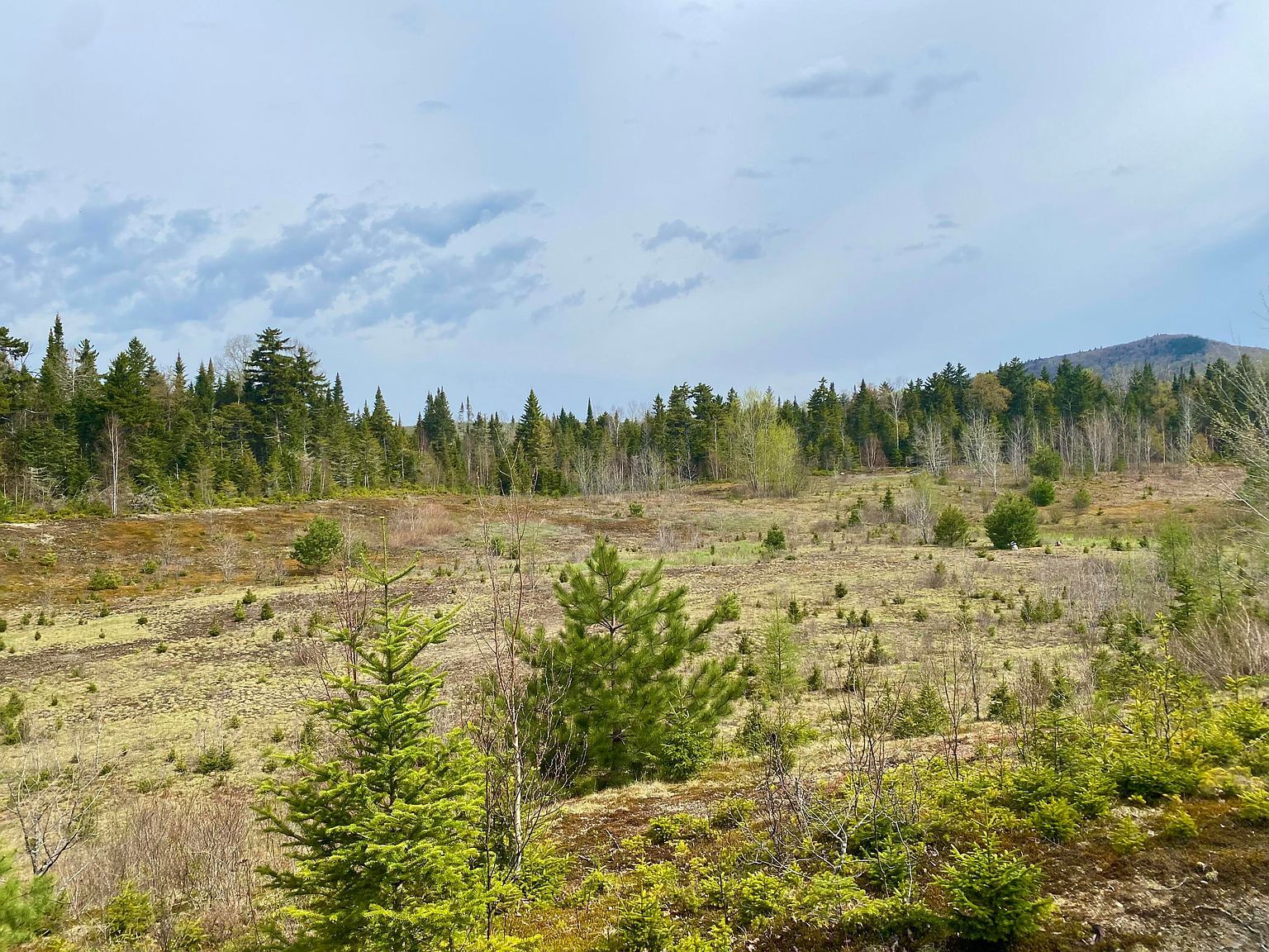 4525 Cascade Rd Lake Placid, NY 12946 - Thumbnail 4