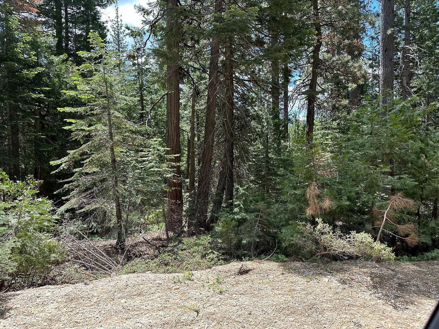 32776 Gaston Rd Nevada City, CA 95959 - Thumbnail 4