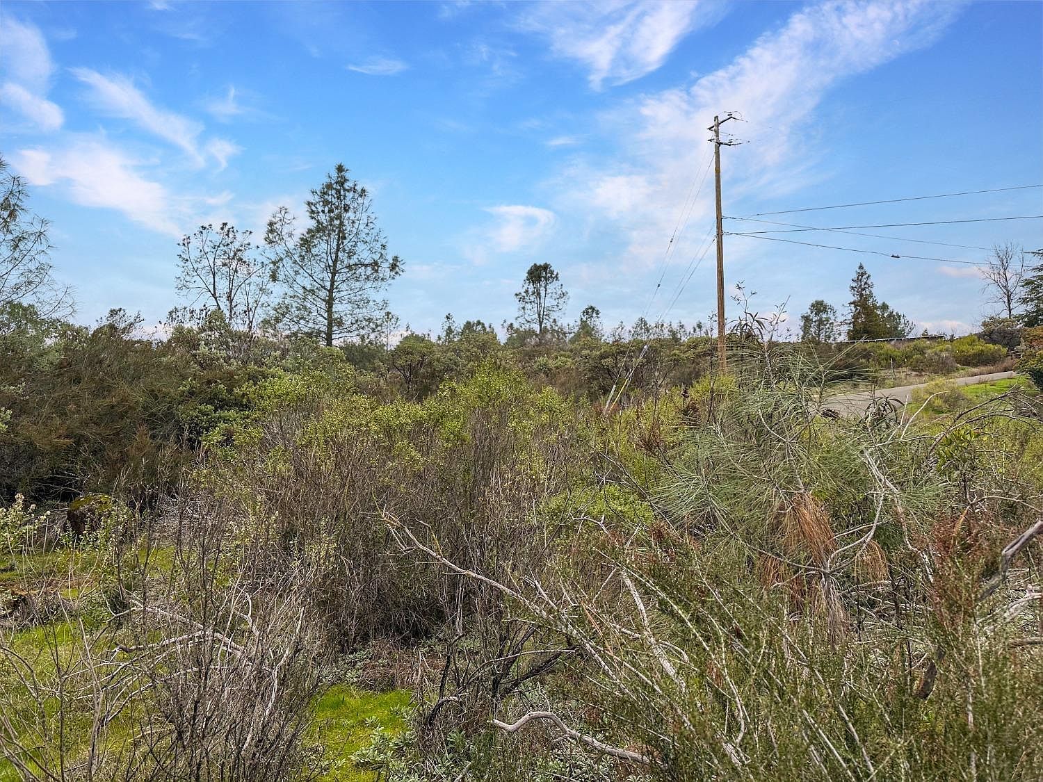 1111 Woodside Way Shingle Springs, CA 95682 - Thumbnail 4