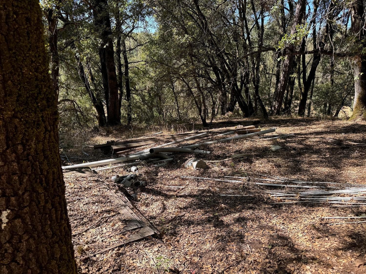 15539 Norvin Way Grass Valley, CA 95949 - Thumbnail 4