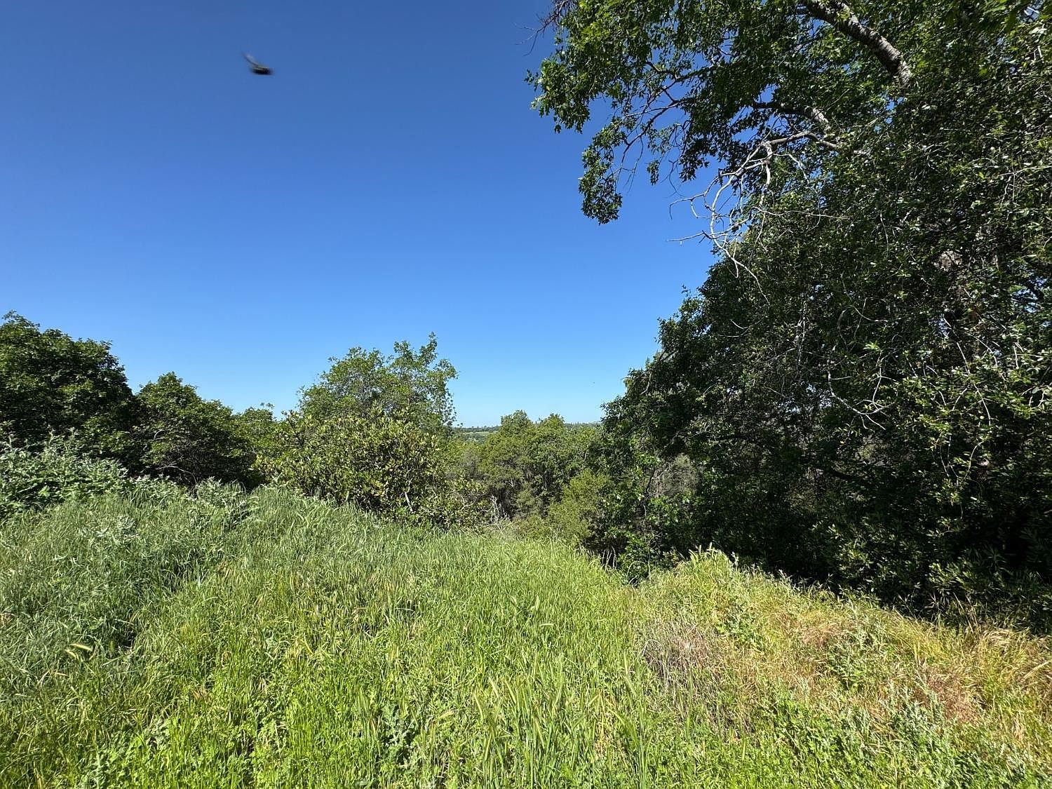 13417 Hallwood Pl Grass Valley, CA 95949 - Thumbnail 4