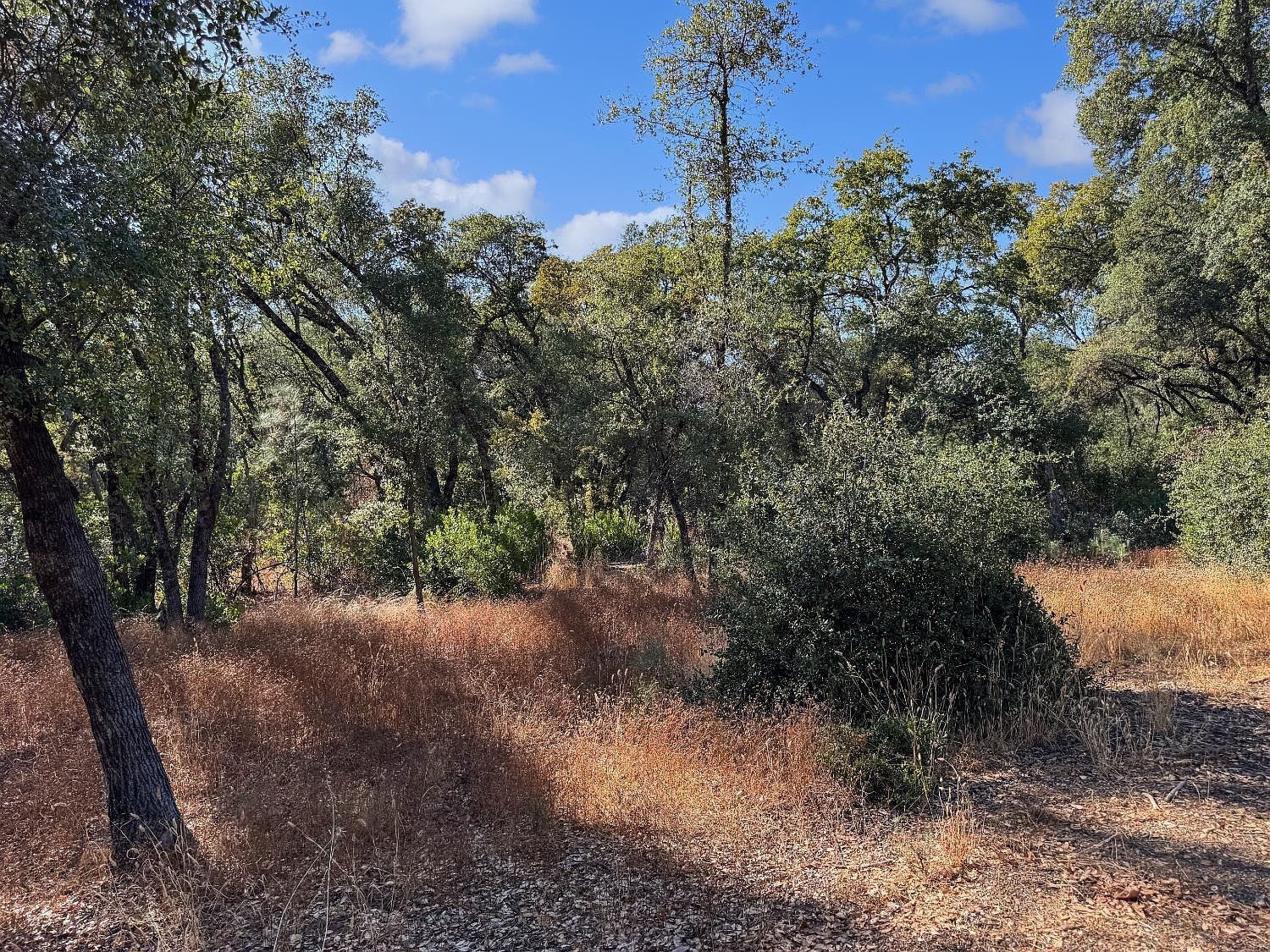 1001 Old Airport Rd Auburn, CA 95603 - Thumbnail 4