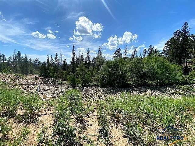 LOT 25 Lot 25 Other Lead, SD 57754 - Thumbnail 4