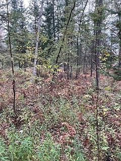 S Blue Springs Trl LOT 23 Falmouth, MI 49632 - Thumbnail 4