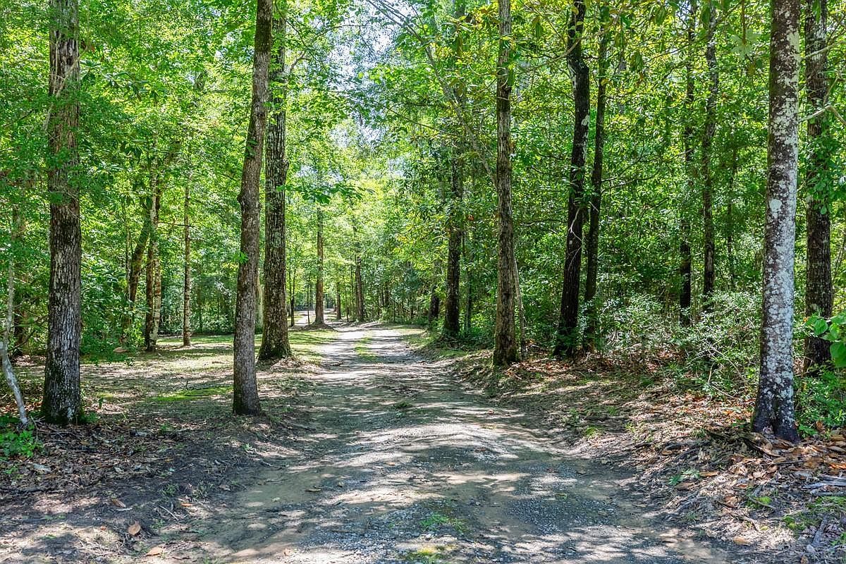 1905 Villa Rd Kountze, TX 77625 - Thumbnail 4