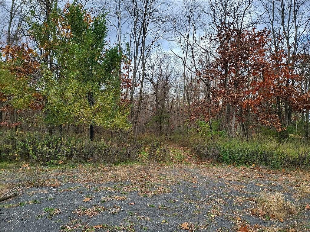 Ashley Dr LOT 5 Rosendale, NY 12472 - Thumbnail 4