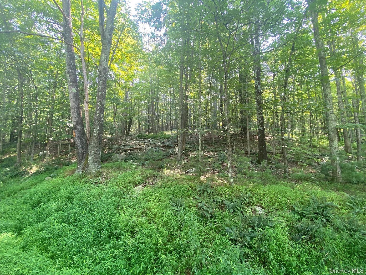 South Rd Wurtsboro, NY 12790 - Thumbnail 4