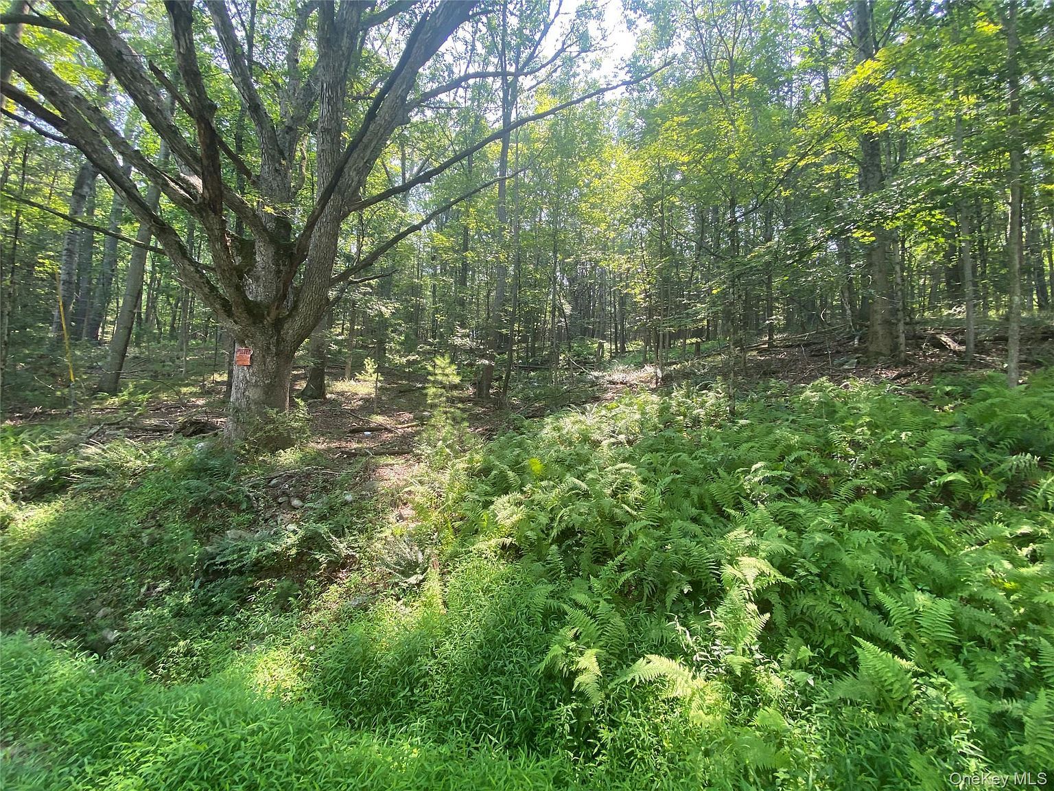 S Road Mamakating Wurtsboro, NY 12790 - Thumbnail 4