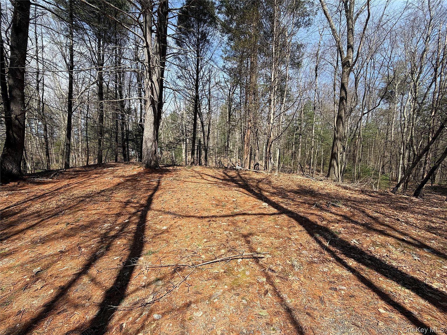 42 Yorkville Park Rd Bloomingburg, NY 12721 - Thumbnail 4