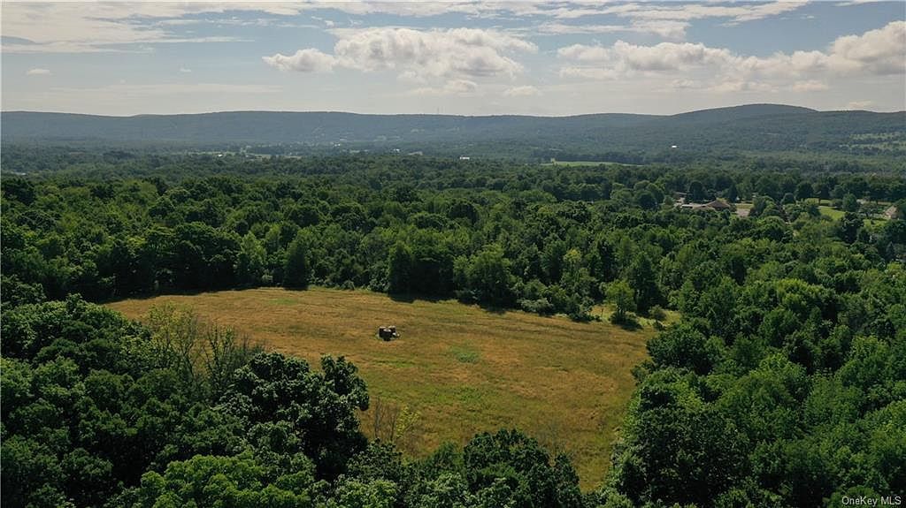 56 Maple Ave Warwick, NY 10990 - Thumbnail 4