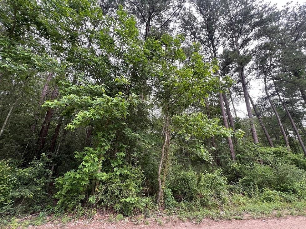 19165 & 19169 Yorkshire LOT 60-61, New Caney, TX, 77357 - Thumbnail 4