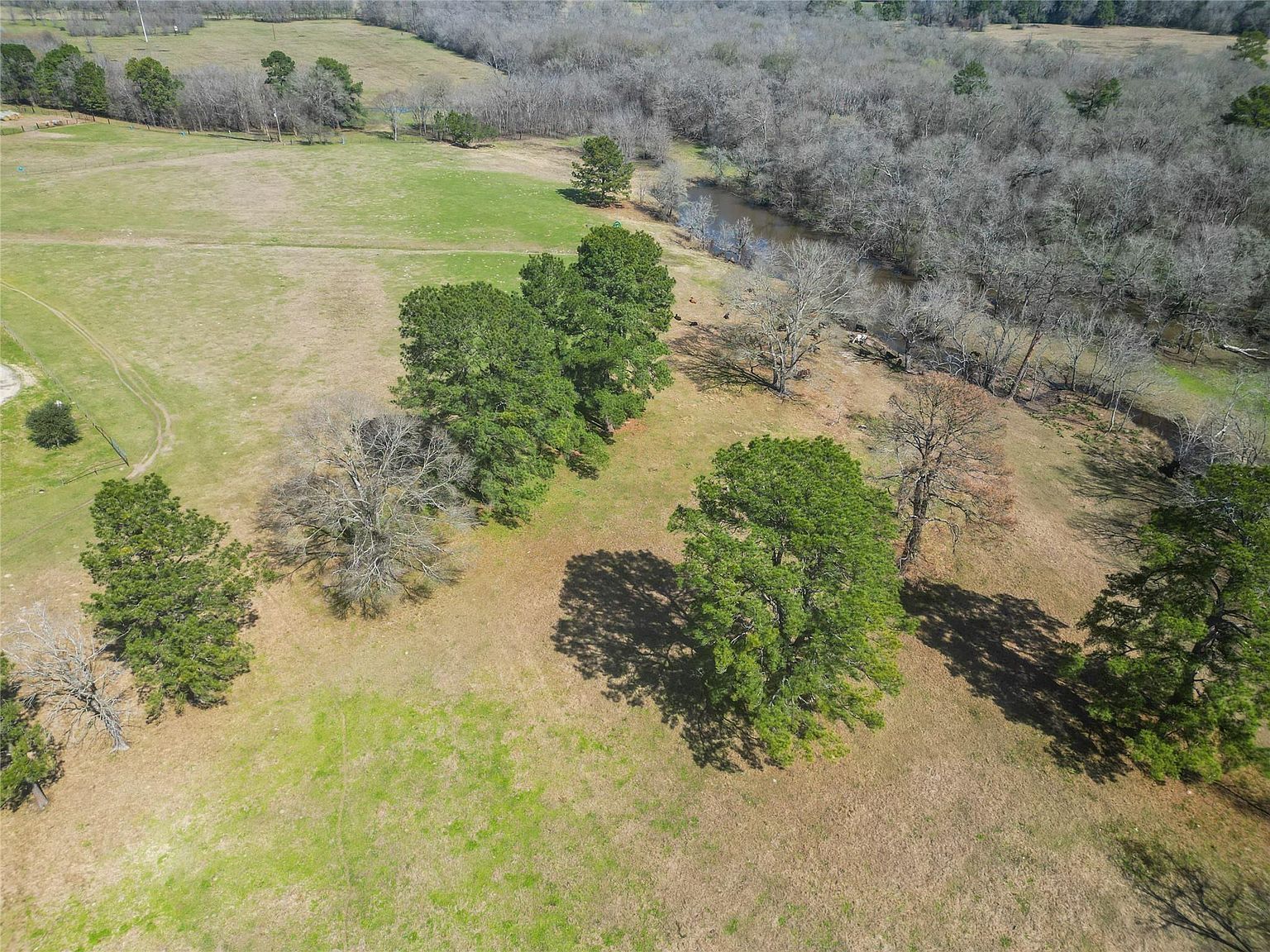 12039 Amberwood Dr Montgomery, TX 77356 - Thumbnail 4