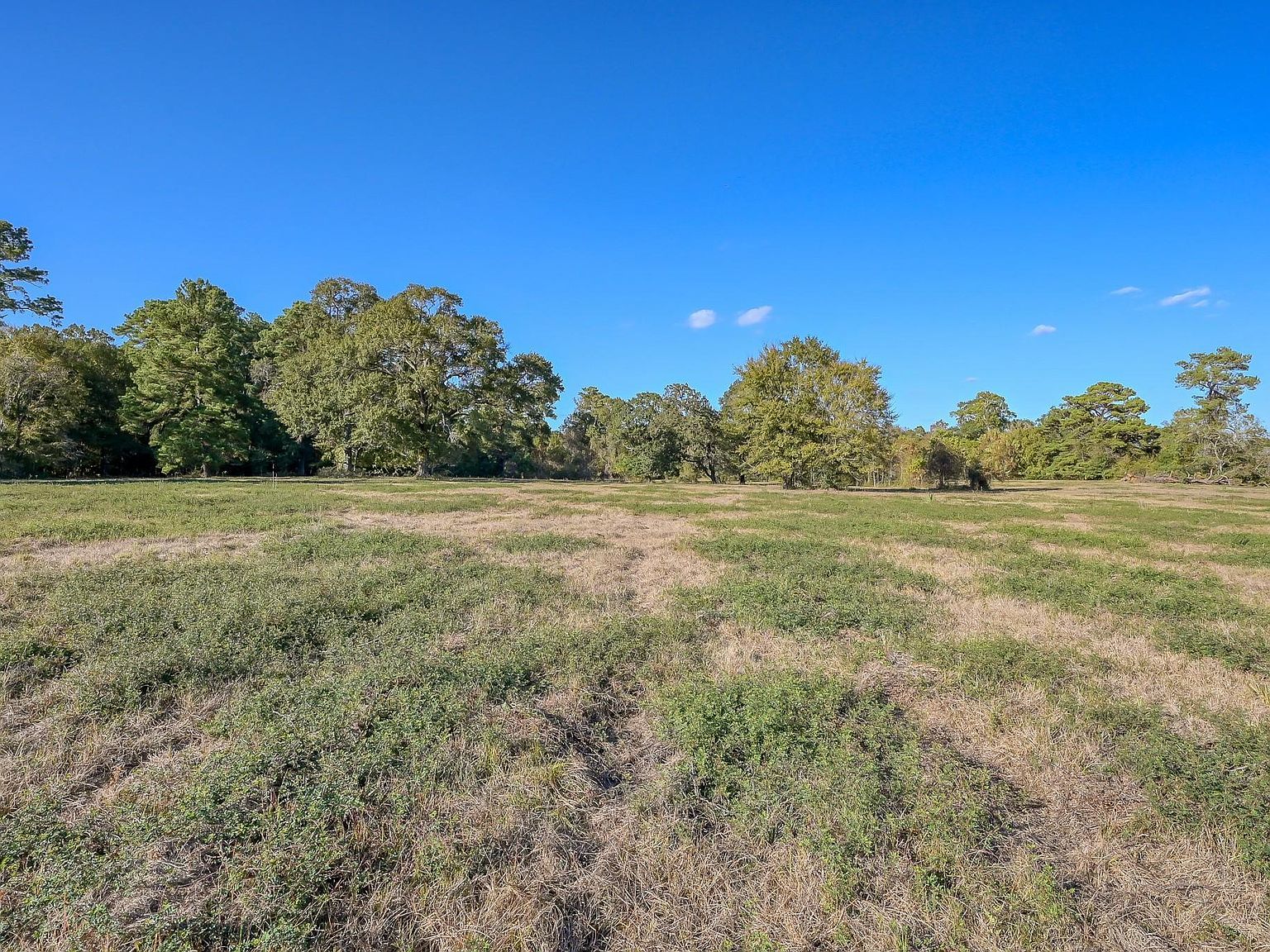 125 Spring Branch Rd Montgomery, TX 77316 - Thumbnail 4