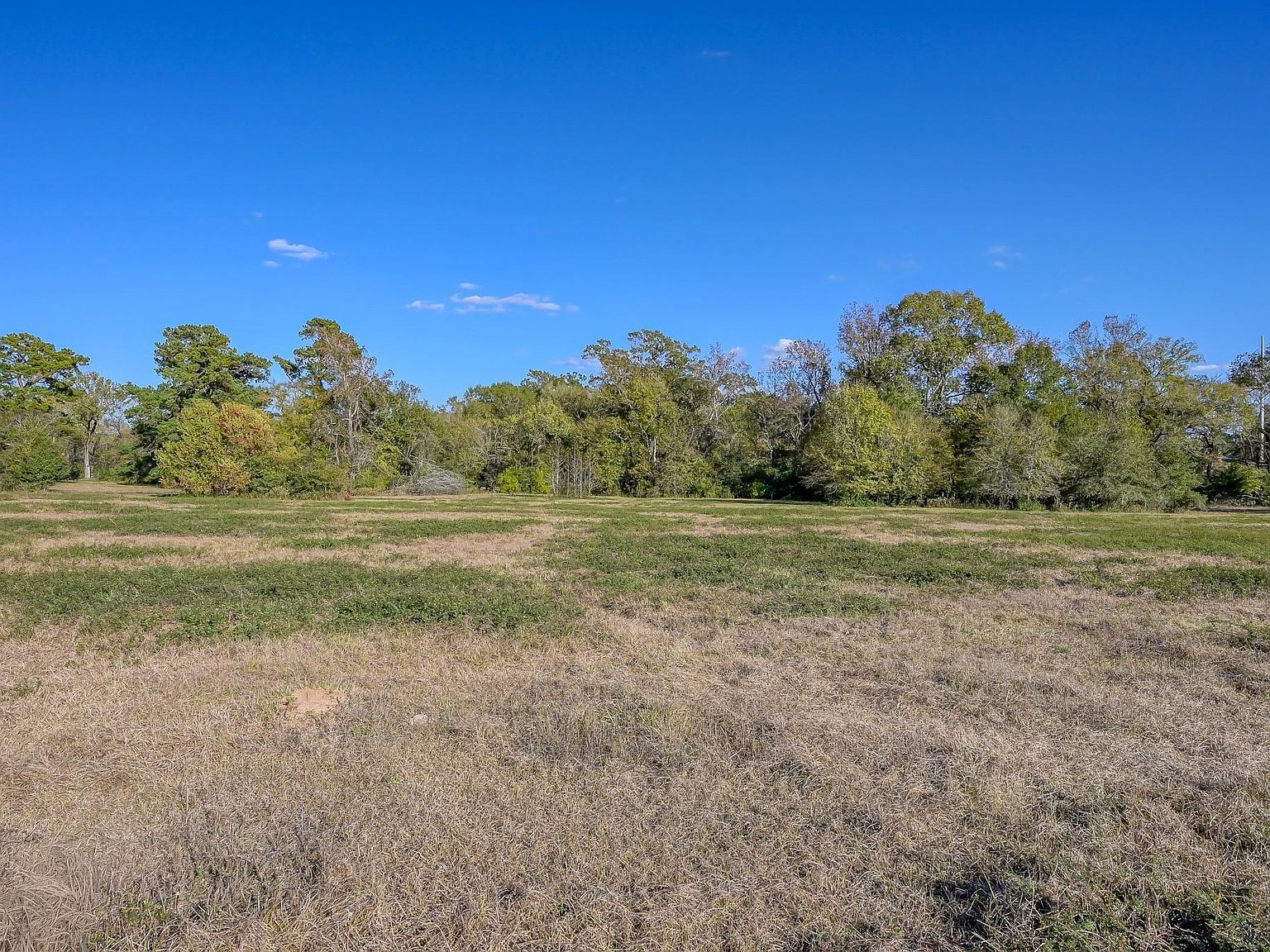 280 Spring Branch Rd Montgomery, TX 77316 - Thumbnail 4