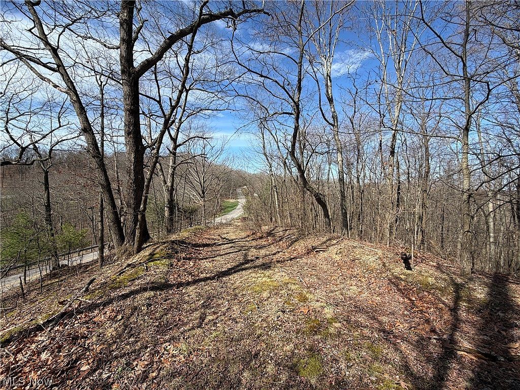 31100 Moravian Trl Tippecanoe, OH 44699 - Thumbnail 4