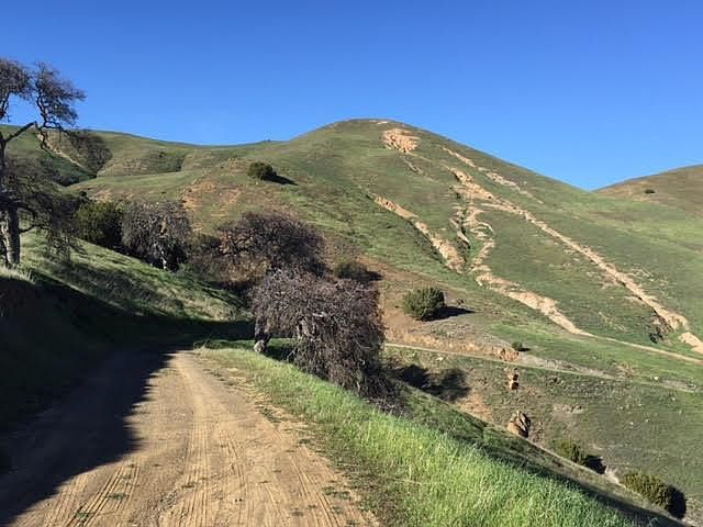 0 Willow Springs Rnch #8, Paicines, CA, 95043 - Thumbnail 4