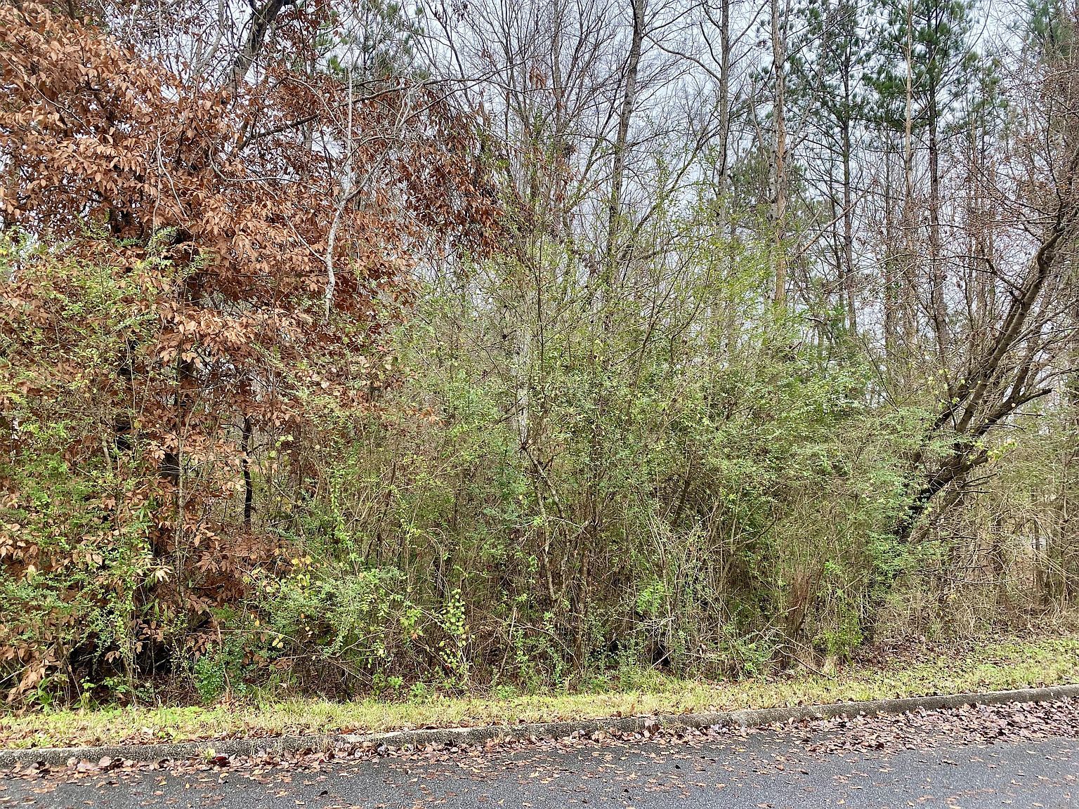 LOT 43 Althea Loop Alexander City, AL 35010 - Thumbnail 4