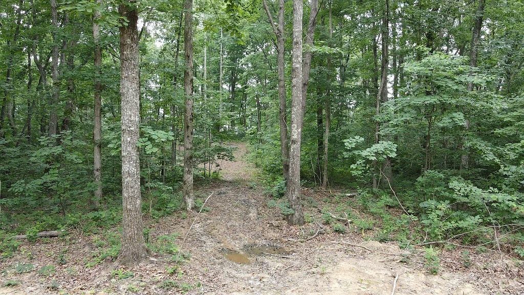 51 Mossy Rock Ln LOT 55 Monteagle, TN 37356 - Thumbnail 4
