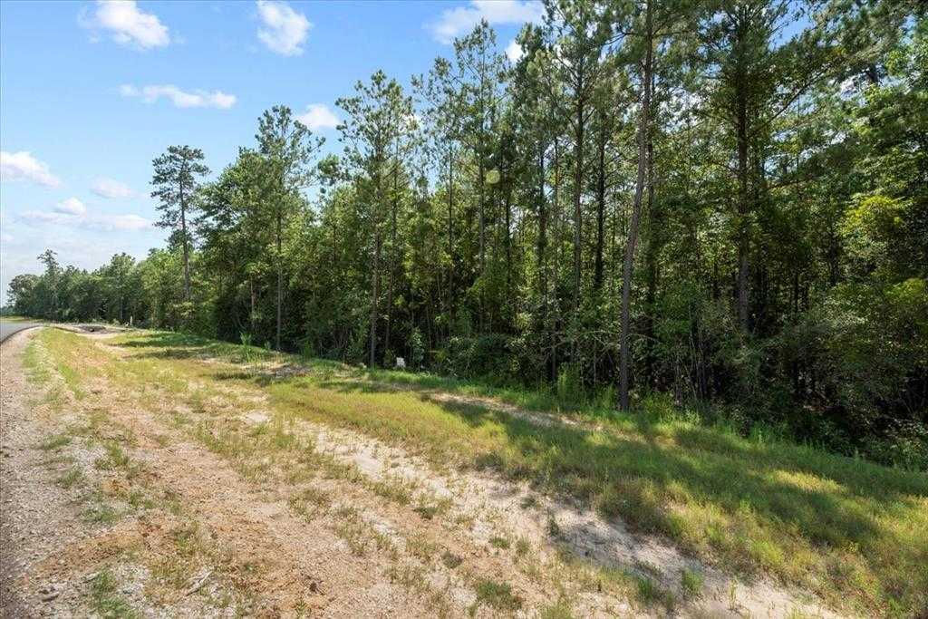 15577 Republic Park Trail, Willis, TX, 77378 - Thumbnail 5