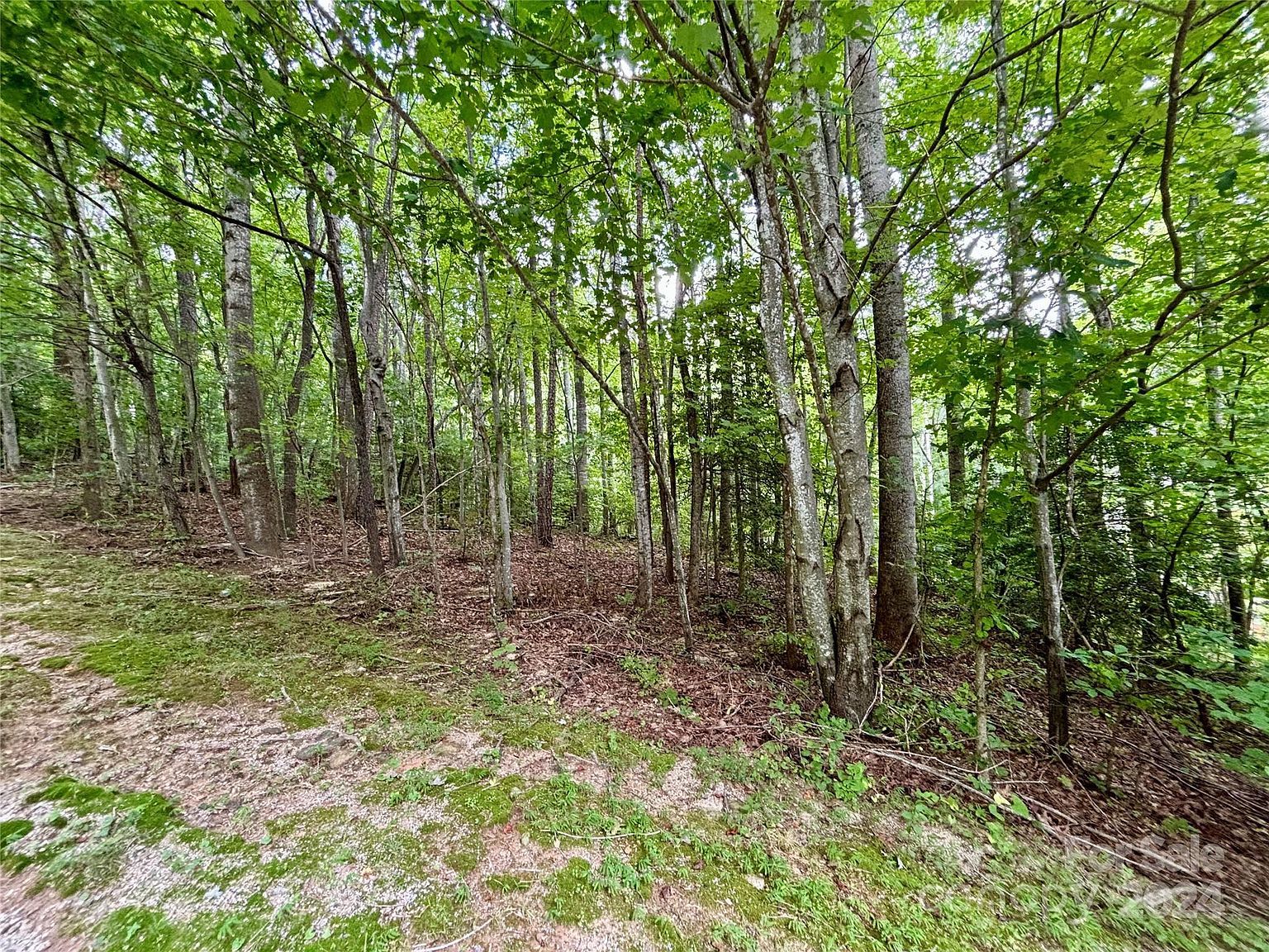 0 N Sunlight Ridge Ct Hendersonville, NC 28792 - Thumbnail 4