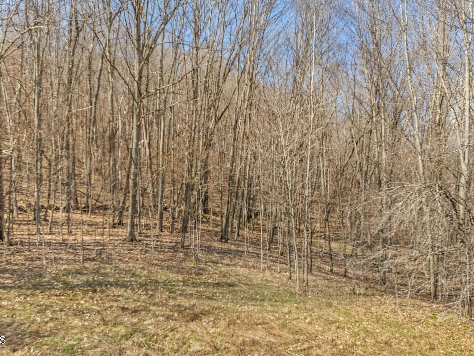 L9112 Lutheranville Rd E Worcester, NY 12197 - Thumbnail 4