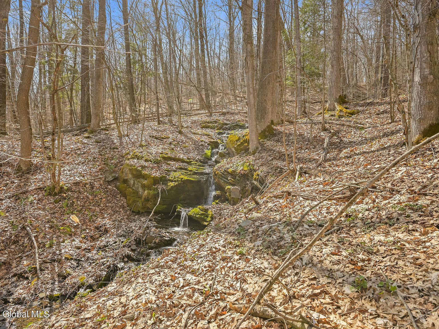 L9113 Lutheranville Rd E Worcester, NY 12197 - Thumbnail 4