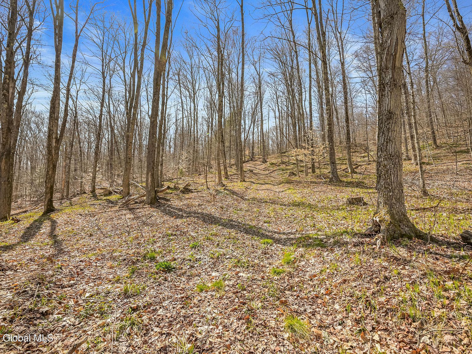 L9114 Lutheranville Rd E Worcester, NY 12197 - Thumbnail 4