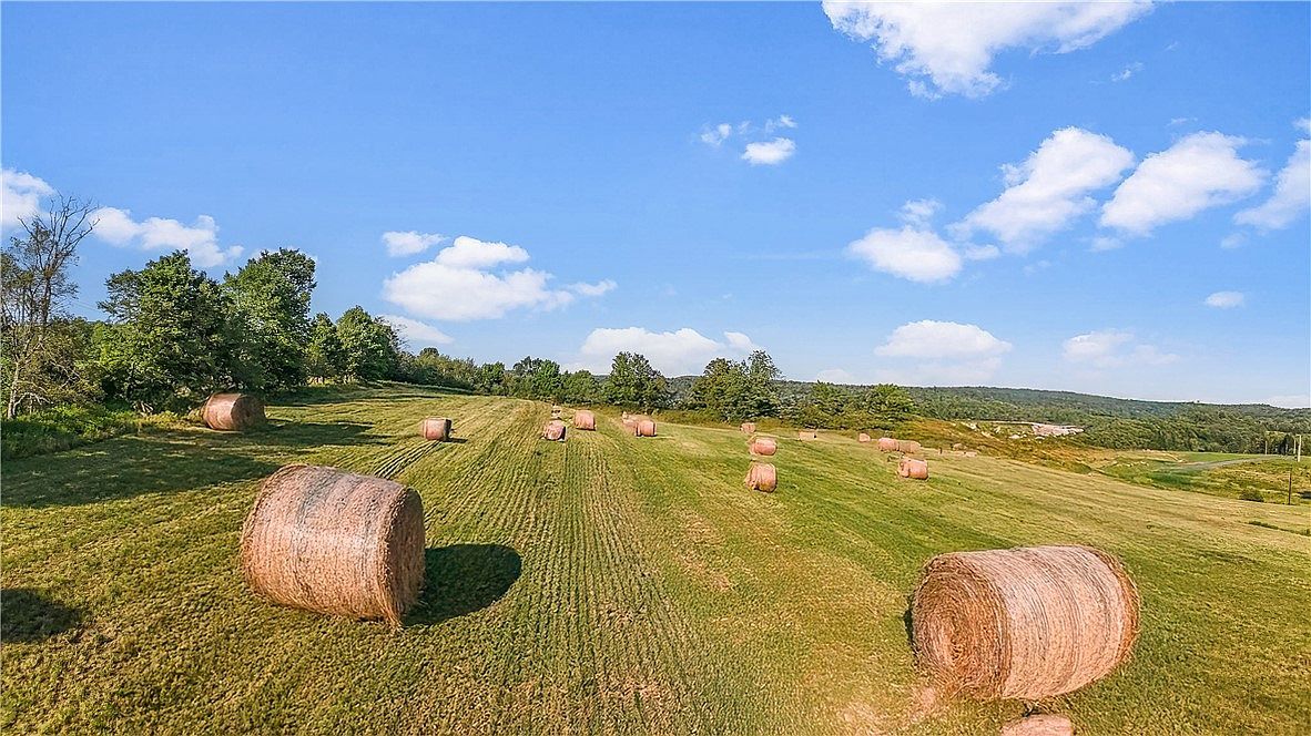 153 Stone Ridge Dr Charlotteville, NY 12036 - Thumbnail 4