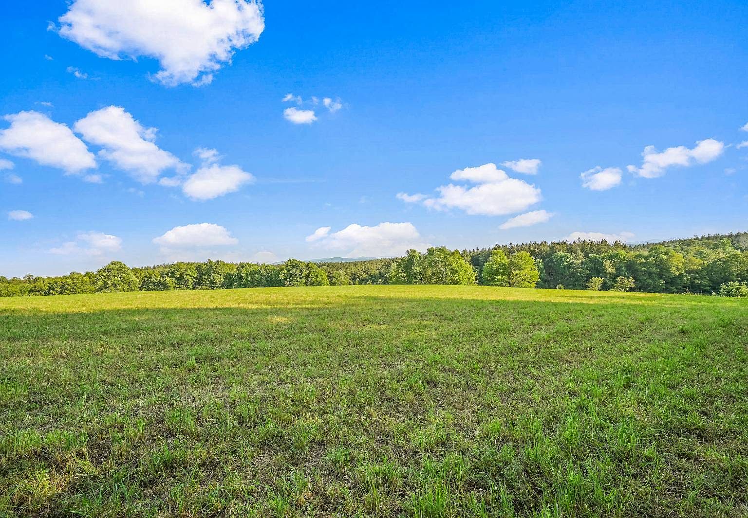 137 Stone Ridge Dr Charlotteville, NY 12036 - Thumbnail 4