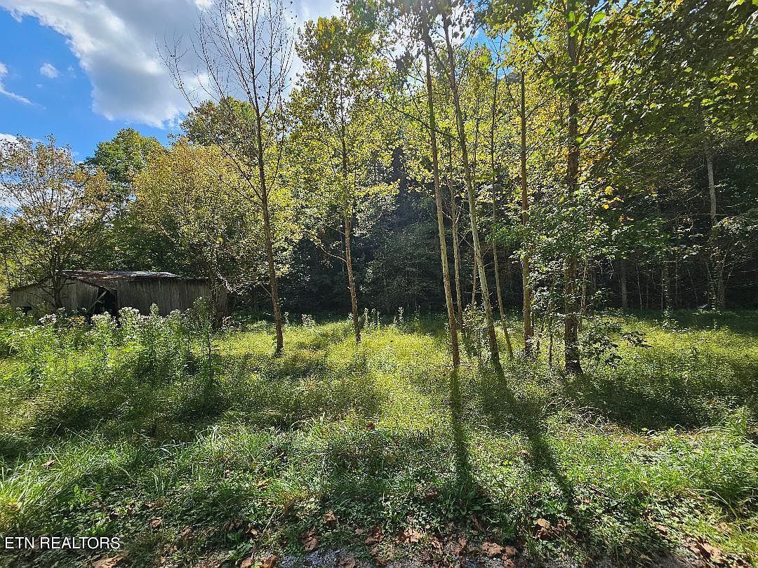 118AC Mill Hollow Rd Tazewell, TN 37879 - Thumbnail 4