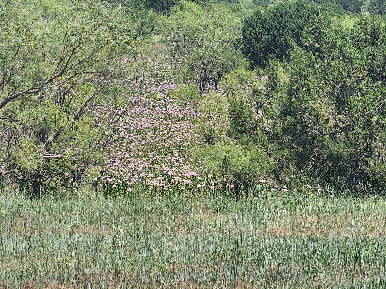 904 Canyon Pkwy Canyon, TX 79015 - Thumbnail 4