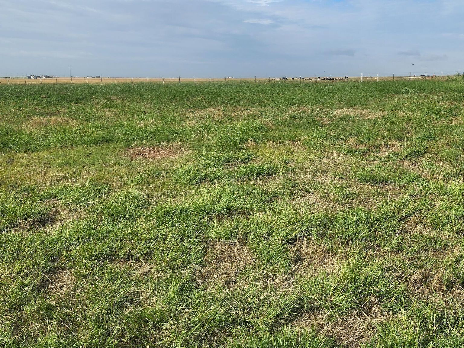 19501 Bridle Trails Dr Amarillo, TX 79119 - Thumbnail 4