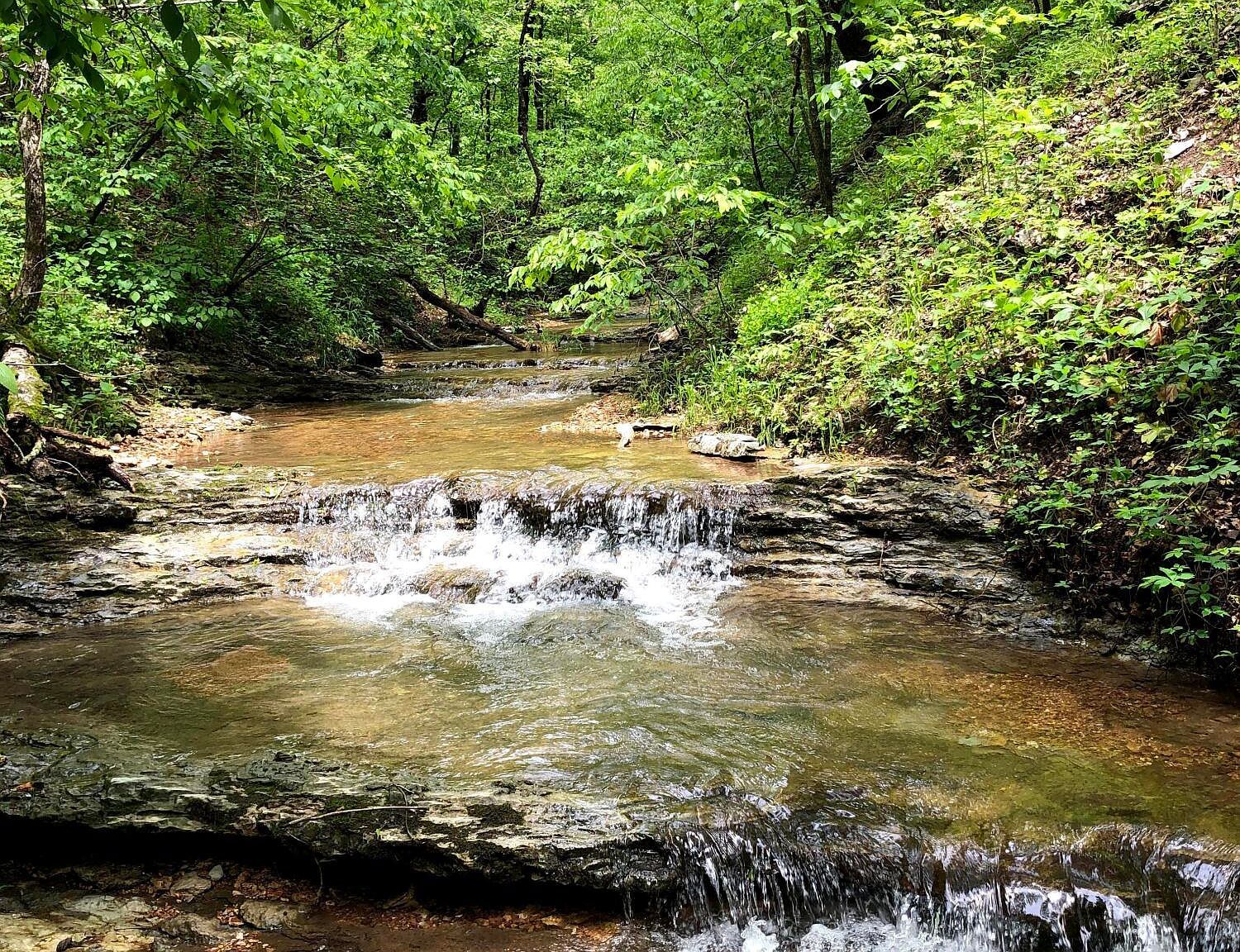 0 Coyote Ridge Rd Cassville, MO 65625 - Thumbnail 4