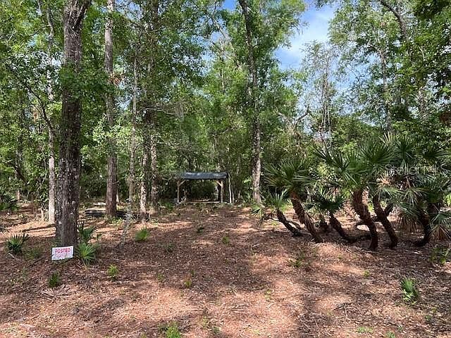 0 SE 929th St #3-4 Old Town, FL 32680 - Thumbnail 4