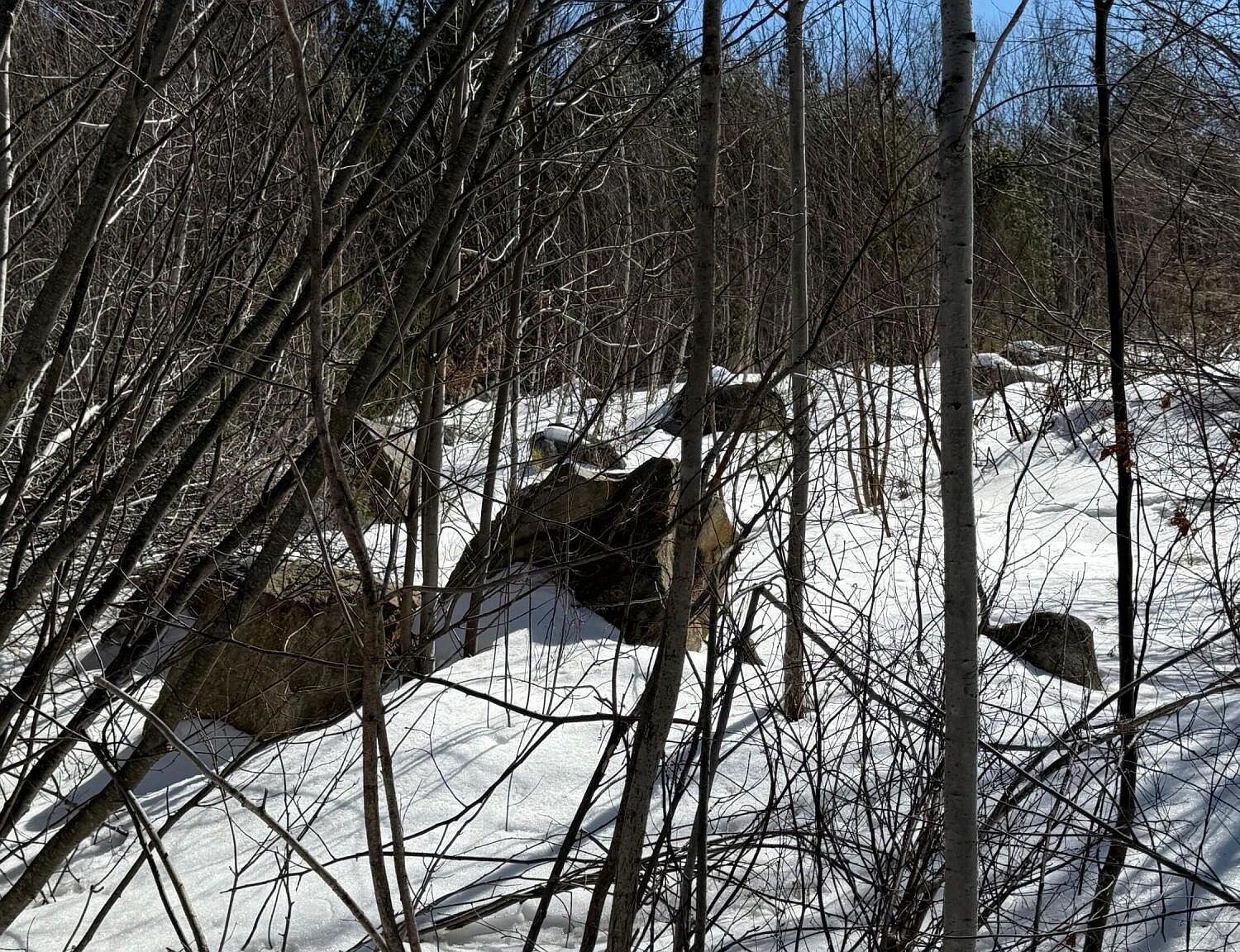 0 Hawk Meadow Rd Waterford, ME 04088 - Thumbnail 4