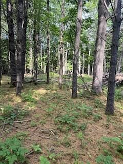 0 Tuttle Ln Bridgton, ME 04009 - Thumbnail 4