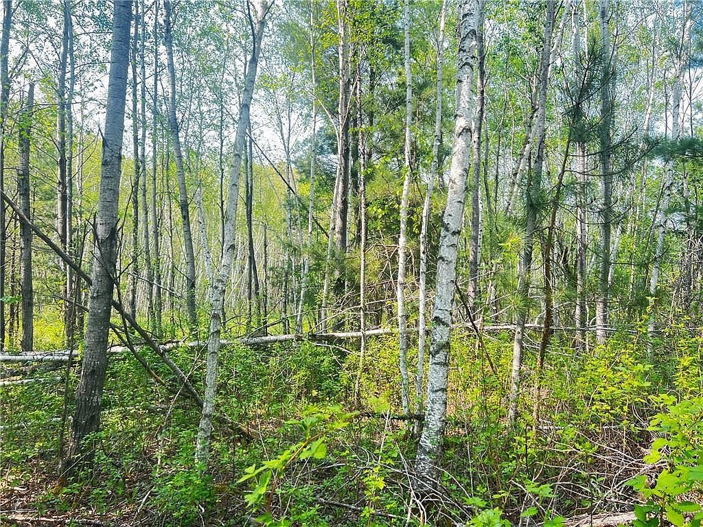 LOT 12 25 1/2 St Chetek, WI 54728 - Thumbnail 4