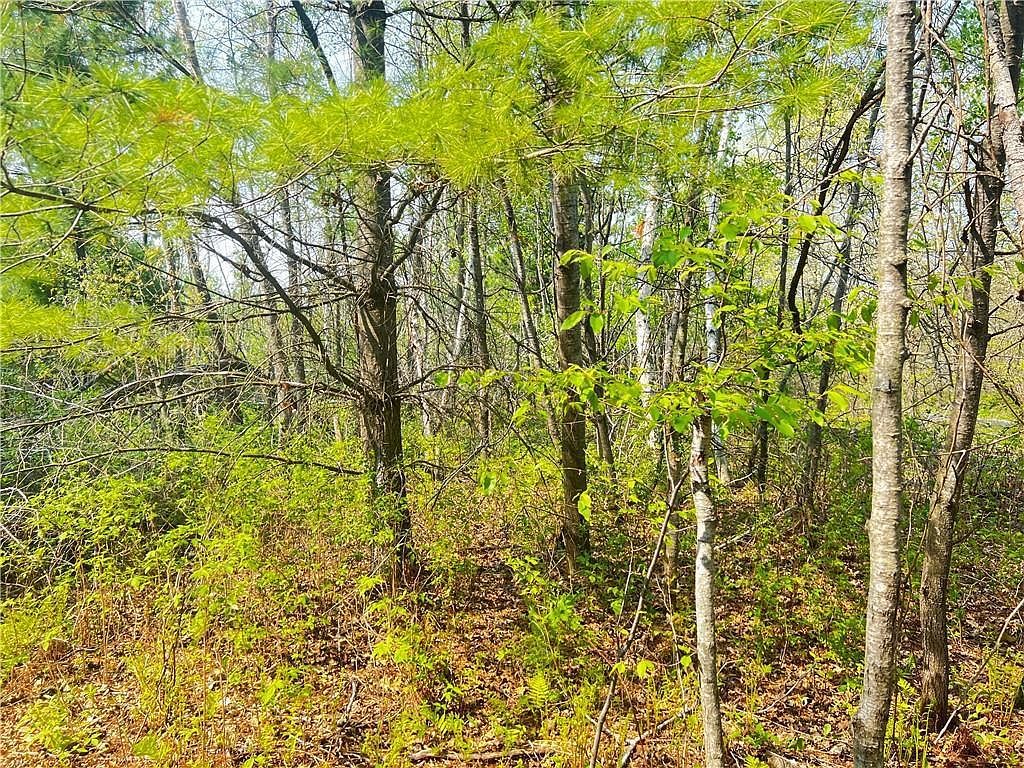 LOT 9 26th St Chetek, WI 54728 - Thumbnail 4
