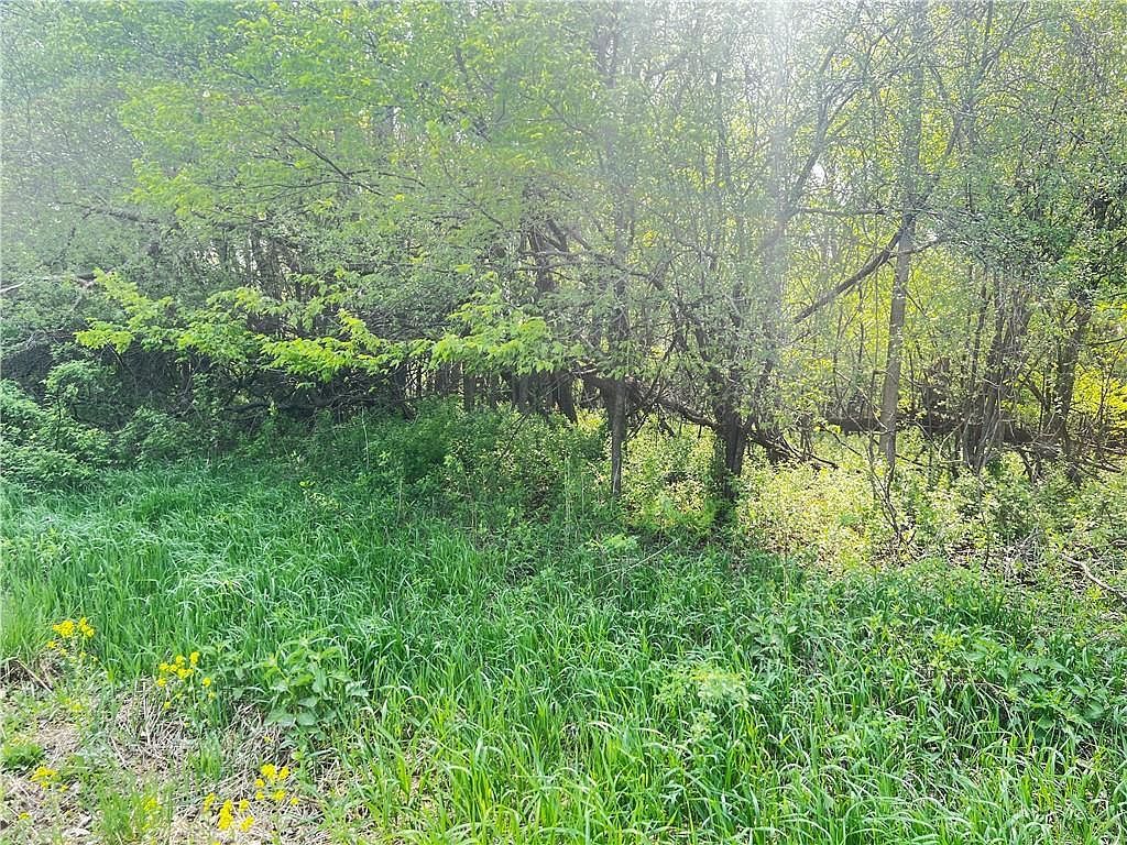 LOT 1 26th St Chetek, WI 54728 - Thumbnail 4