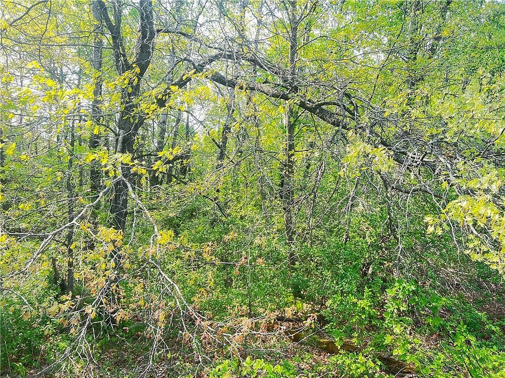 LOT 6 26th St Chetek, WI 54728 - Thumbnail 4