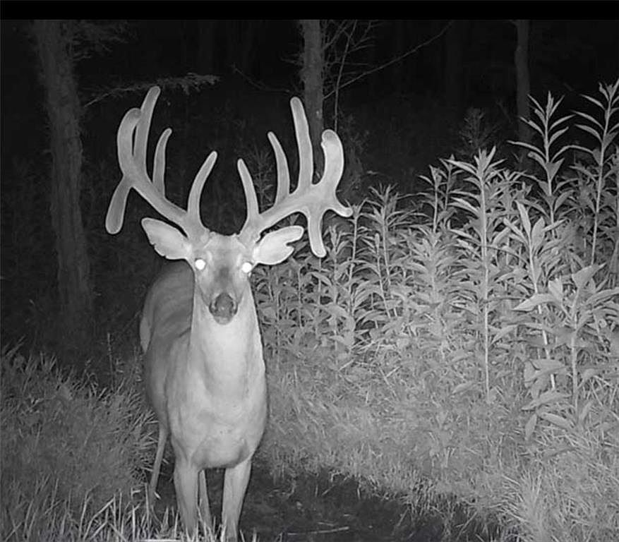 6574 55th St Chippewa Falls, WI 54729 - Thumbnail 4