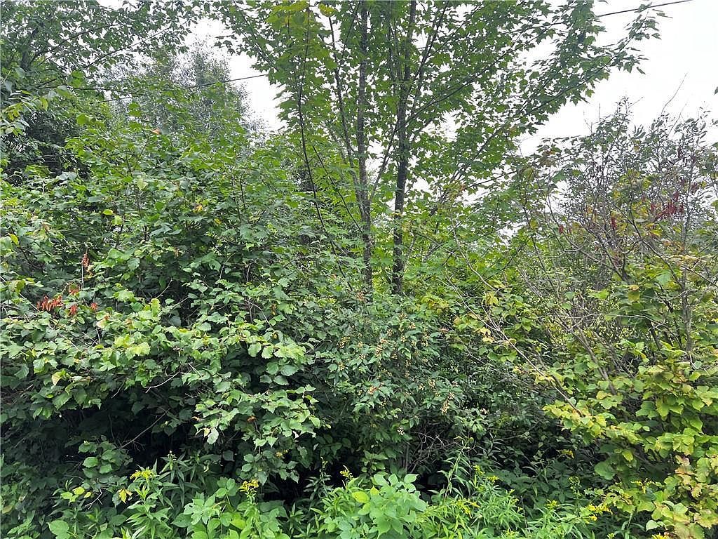 Lots 20 & 21 250th St Cadott, WI 54727 - Thumbnail 4