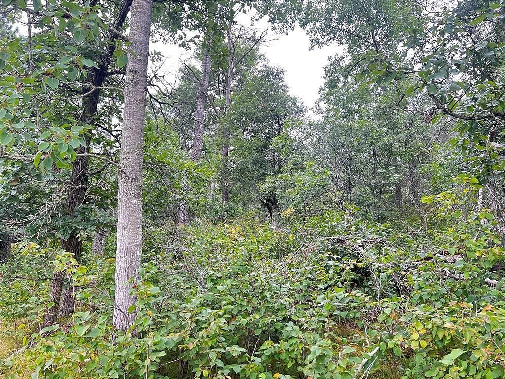 LOT 1 E County Road T Gordon, WI 54838 - Thumbnail 4