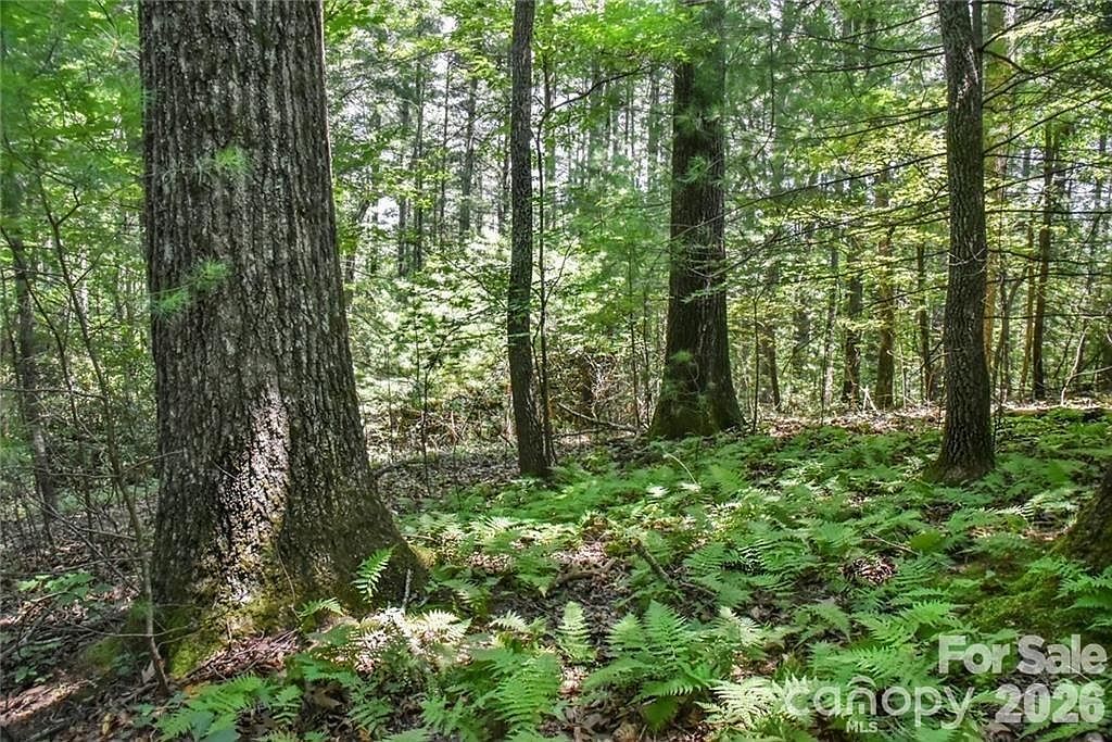 19 Laurel Loop Rd Fairview, NC 28730 - Thumbnail 4